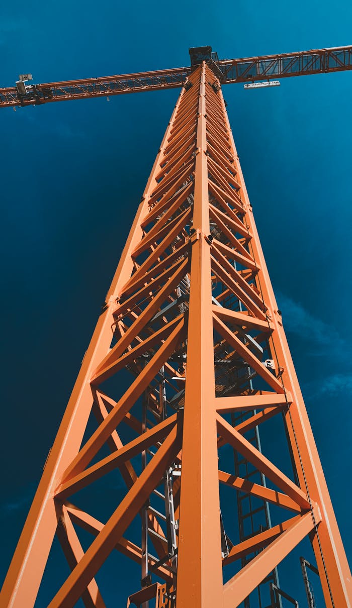 Crane Under a Blue Sky